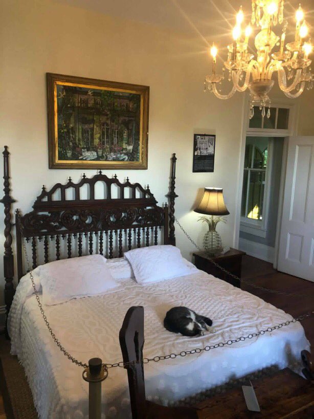 615hotproperty's tweet photo. They REALLY don’t want people on the bed at #HemingwaysHouse but take a second to admire that chandelier. #KeyWest #interiordesign https://t.co/CgZjlpCtXV
