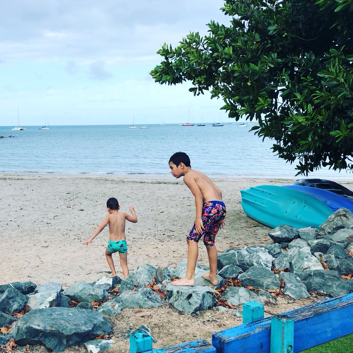 ASobsessions's tweet image. Airlie Beach with my fam bam!