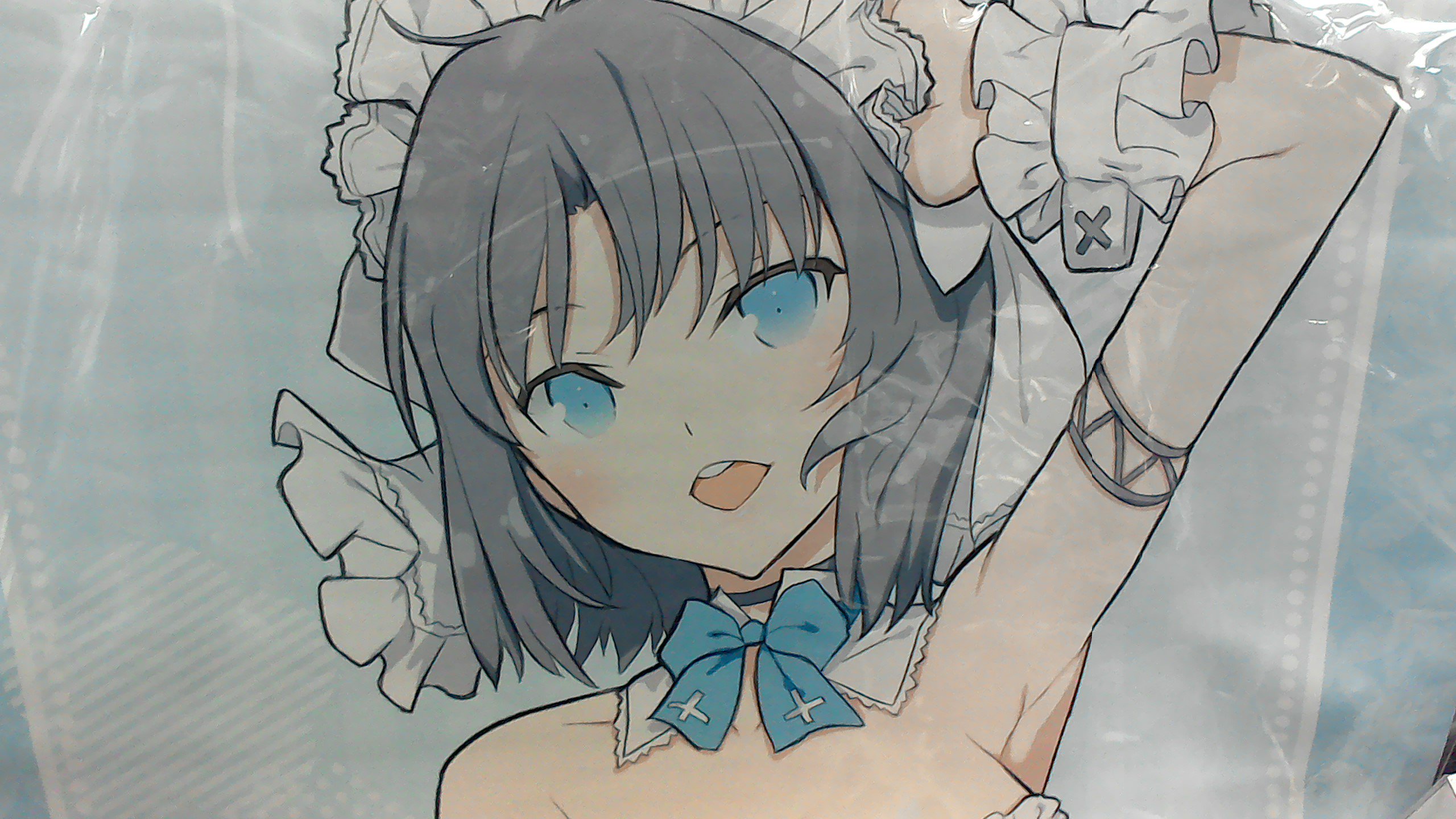 閃乱カグラ 爆乳ハイパーWEBくじ 2パイ目 A-1賞 雪泉 等身大タペストリー