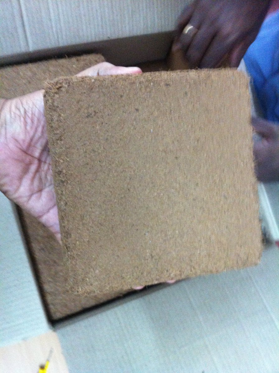 saanviproducts's tweet photo. Cocopeat is a growing medium made out of coconut husk. Cocopeat is a very good alternative to traditional peat moss and Rock wool.
To know More https://t.co/stHLhuOP7H
For Ordering Cocopeat 🤳 + 9194422 29996
#cocopeat #Saanviproducts #cocopeatexport #saple #cocopeatchennai https://t.co/xQZK9nf9Bi