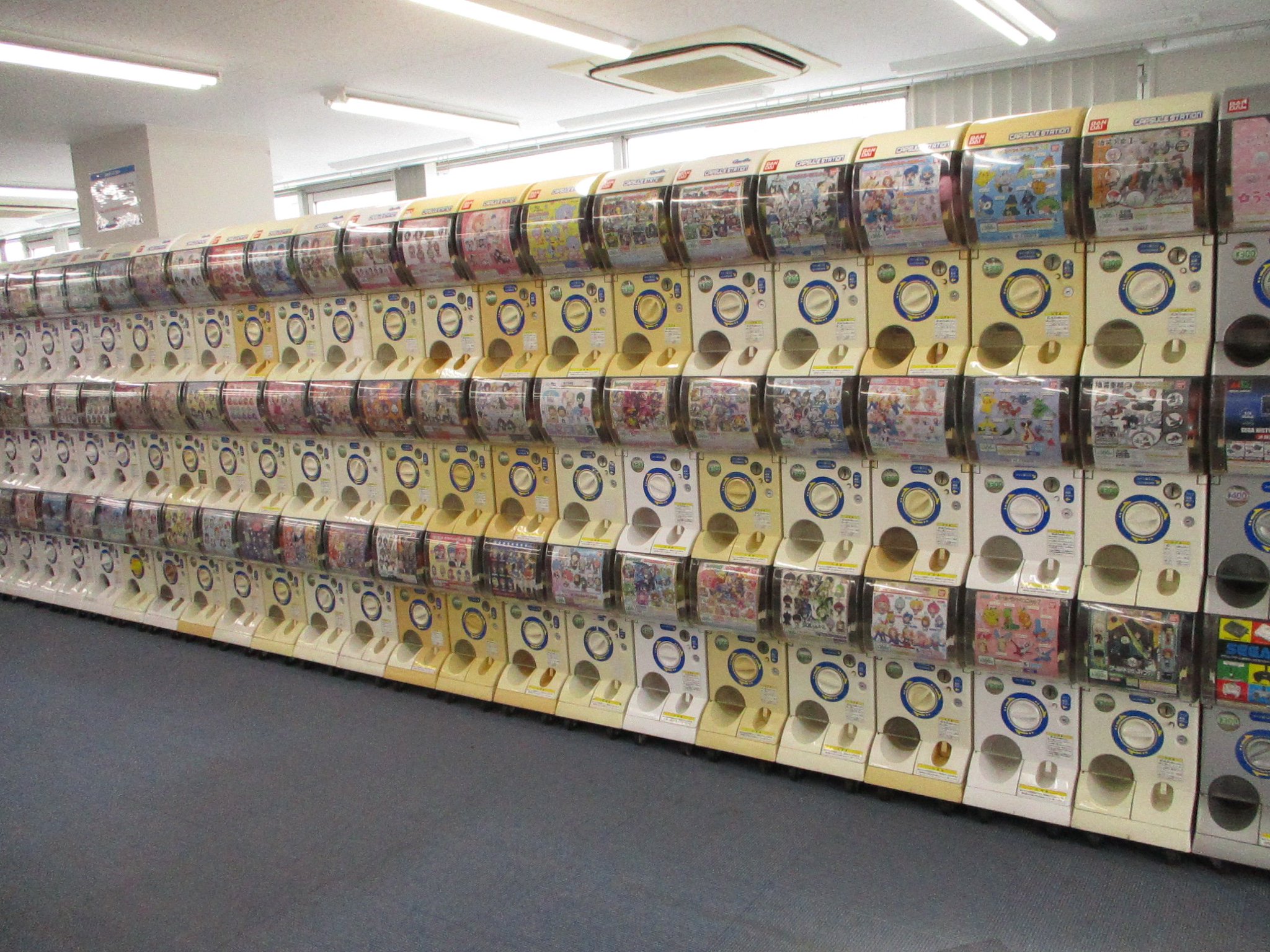 アニメイト立川 東京カラーソニック 関連商品好評発売中 本日より 立川店5fにてガチャガチャ大量稼働中うどおおおおおおおおおおおおおお なんと100台以上が稼働中 立川店にお立ち寄りの際は