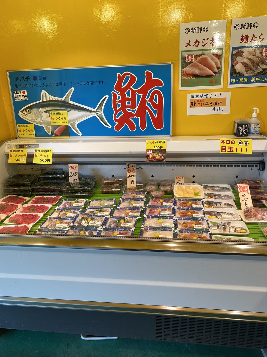 ootukamacyan's tweet photo. 今日の早朝、魚屋さんに買物に行きました。従前は浦安魚市場にあった大信です。土曜日、日曜日の七時から10時までの営業です。新鮮な魚が低廉な価格で売っています。場所は浦安市川医療センター付近の早川ビルです。このような店が市内にあと二箇所あります。
次の投稿楽しみに#パソコムプラザ# 魚屋 https://t.co/mmpH0ToLkk