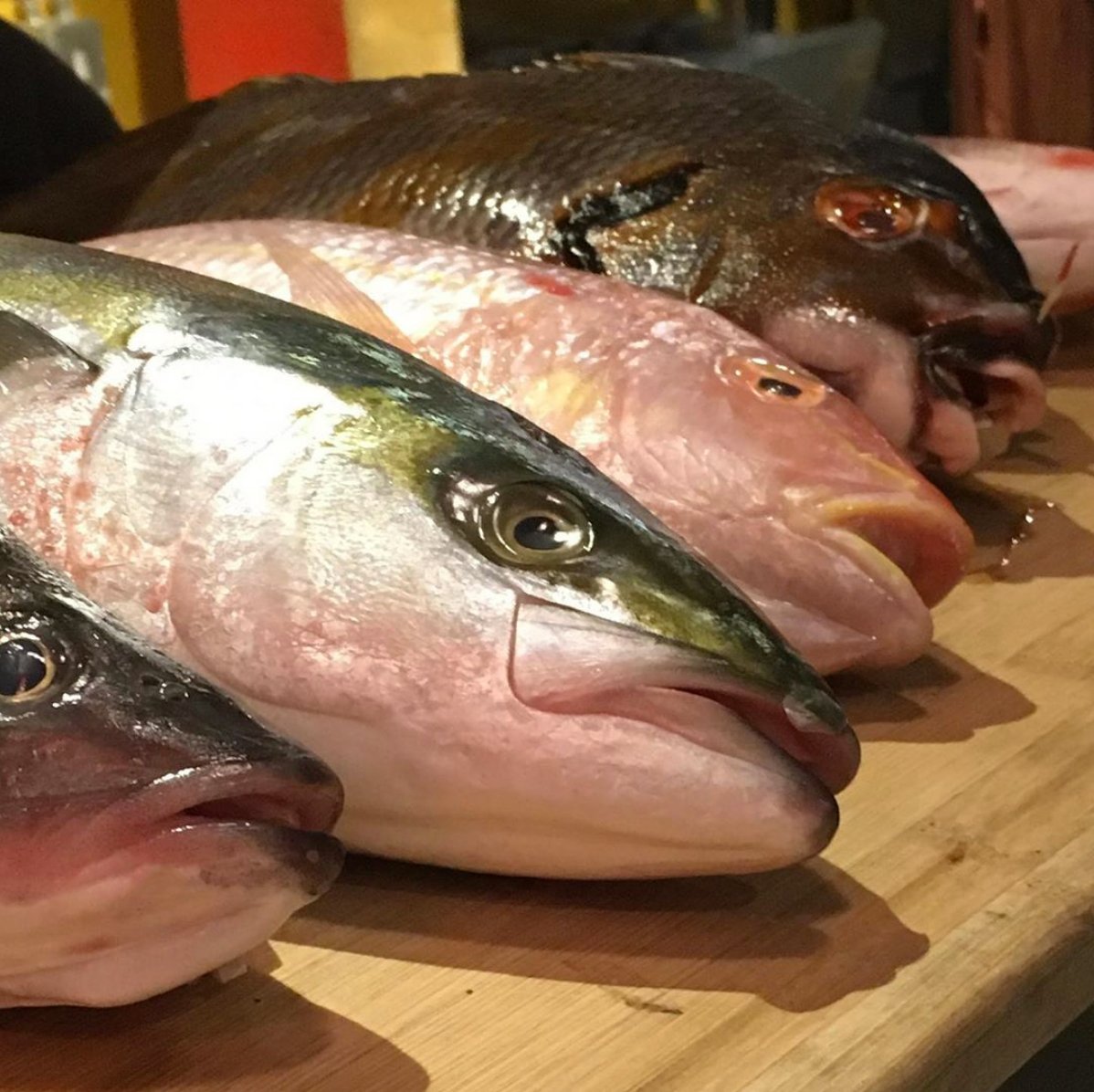 HookedBC's tweet photo. Here are 3 ways to know that you have a perfectly fresh whole fish: 1) The skin has a bright, metallic shine, 2) the eyes are still clear and bright, &amp; 3) the scales are firmly connected. For the best fish in the Rockies, come to Hooked! #HookedOnFresh
📸: @karahasbrouck https://t.co/627CGvSoob