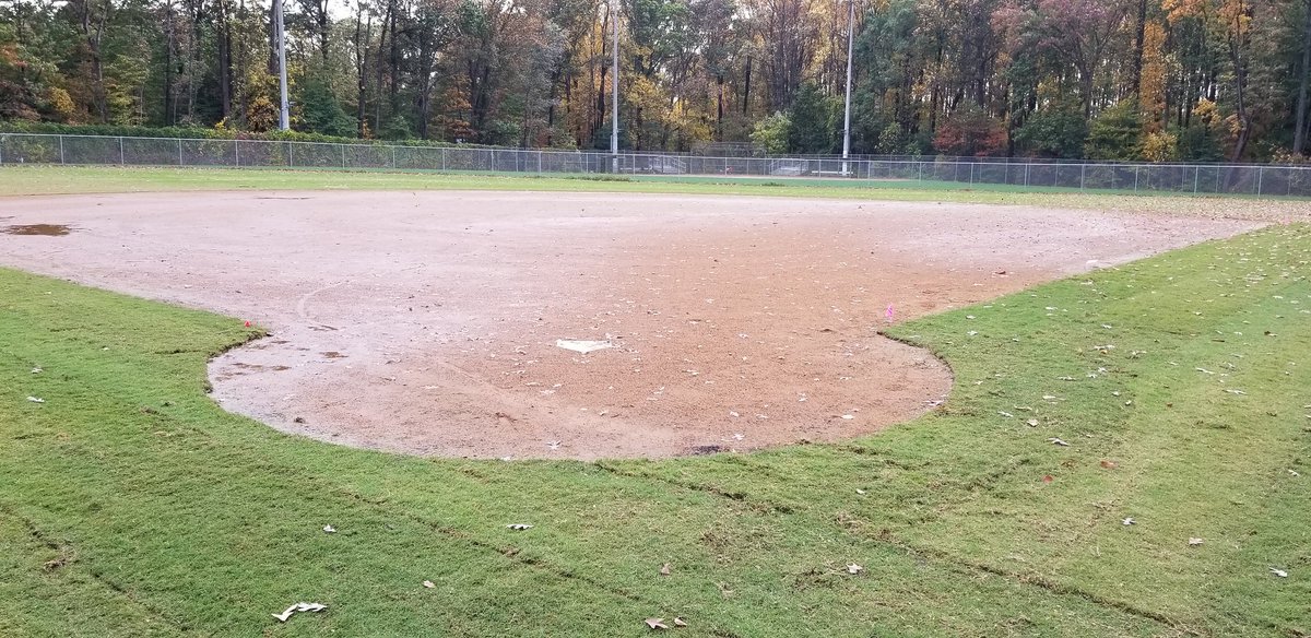 Annandale Atoms Softball tweet media