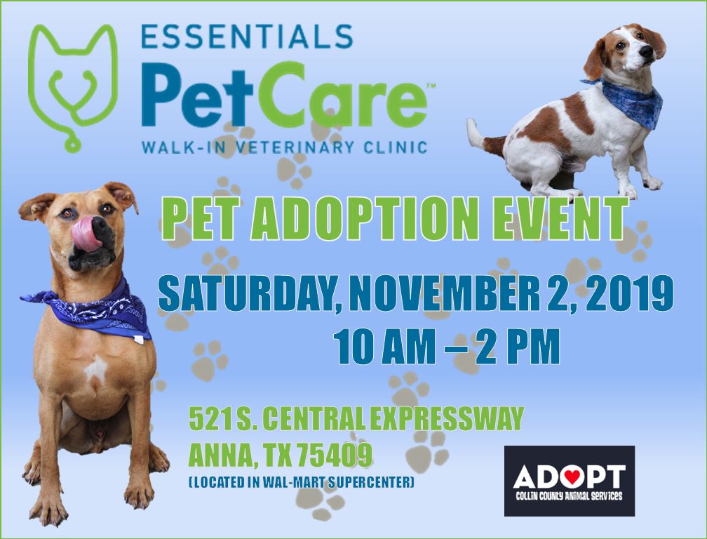 CollinCountyAnimals tweet media