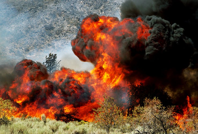 There’s no denying it – we’re seeing the climate crisis play out with our own eyes.  
bit.ly/2Jx5EXR