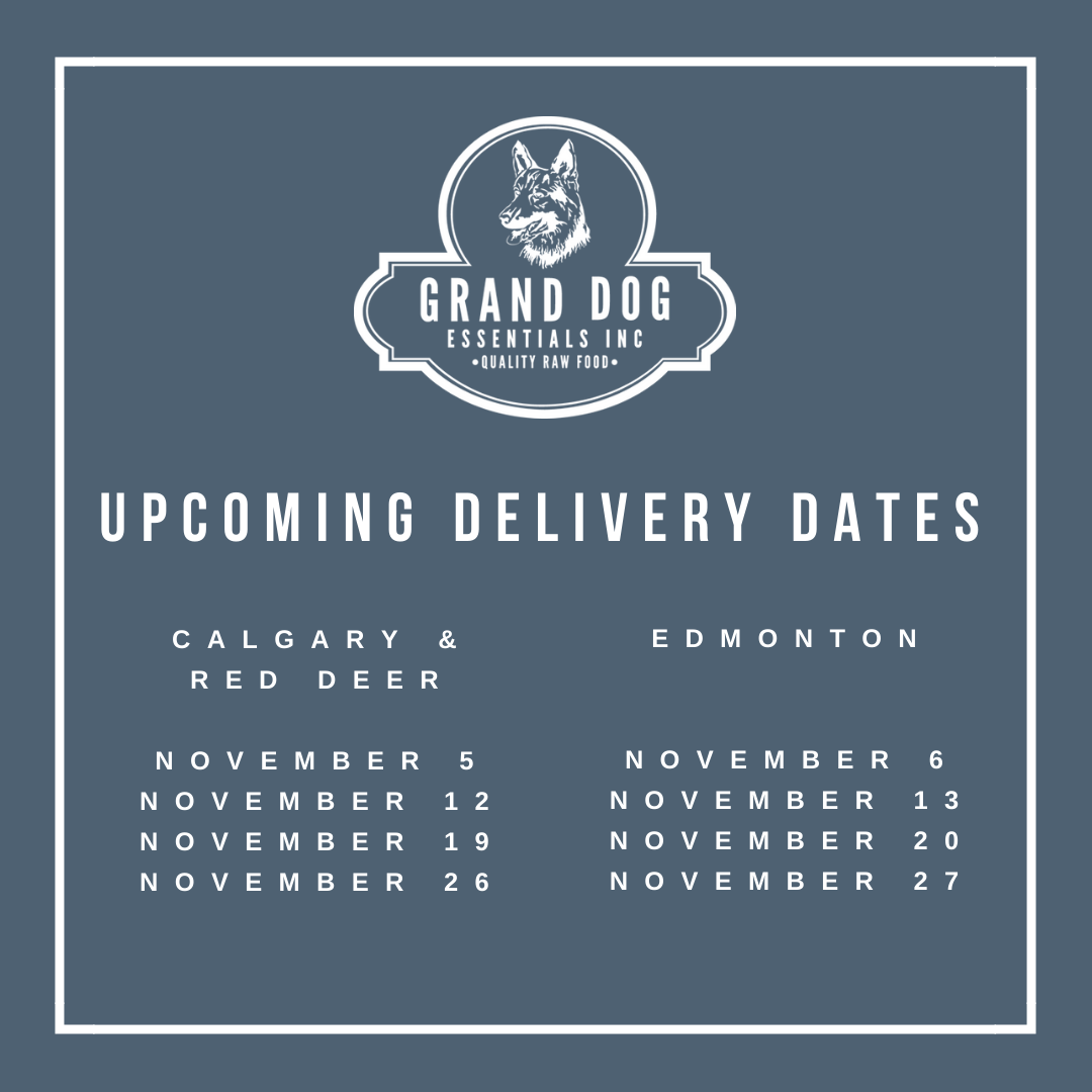 raw dog food delivered