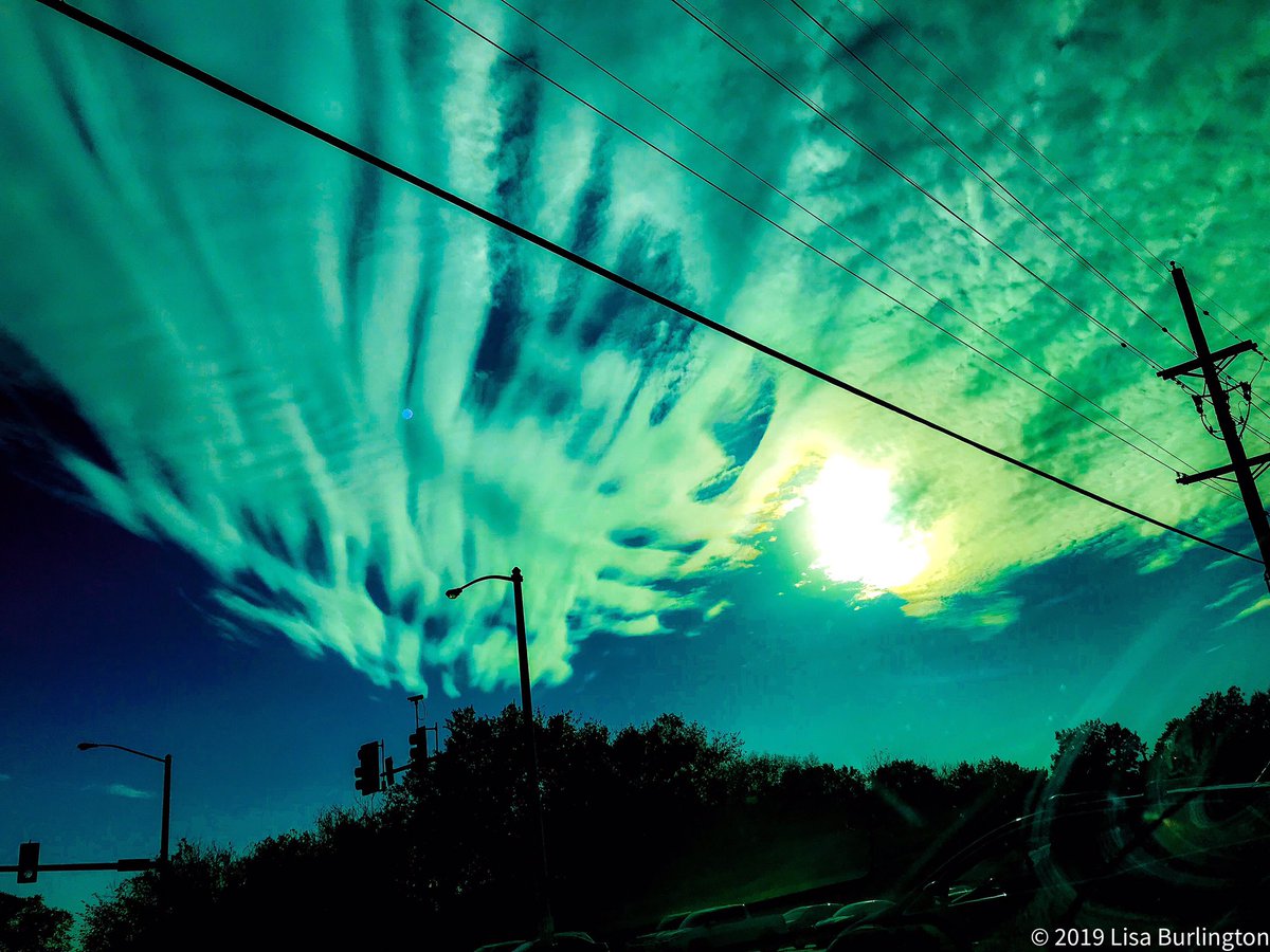 Lisa_Burlington's tweet photo. Took this while at a stoplight today with my phone. Mesmerized me to say the least. Looked like 2 feathers. #phonephotography #iPhonephotography #photography #NaturePhotography #twofeathers #feathers #angels #angelsamongus #kansascity https://t.co/SnL7E7FtZj