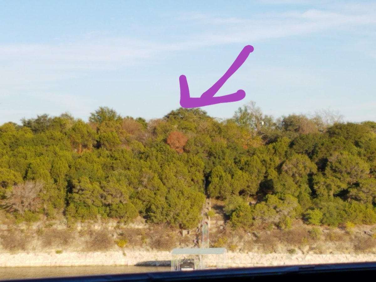 hookem714's tweet photo. #Fall is here south Texas!! Lol! https://t.co/eKNnh6XWls