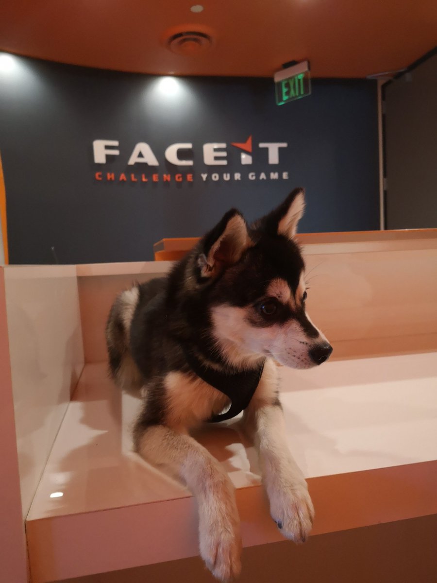 Dosia goes to <a href="/FACEIT/">FACEIT</a> usa office ❤️