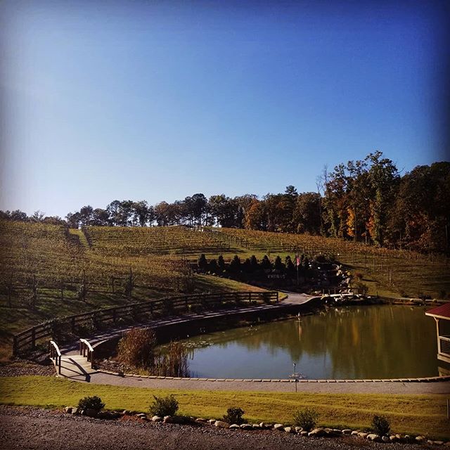 MartinJ_Music's tweet photo. Had a great time playing music and meeting new friends big_door_vineyards tonight. Thanks for having me out! #local #georgia #wine #music https://t.co/XrCcFazckn