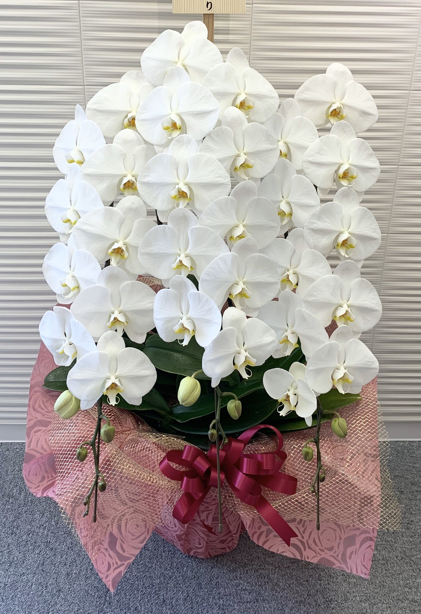 清花園 花屋 Seikaen24 Twitter