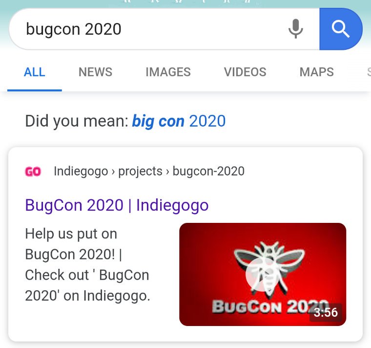 stuffhedoes's tweet image. Hmmm. #bugcon2020