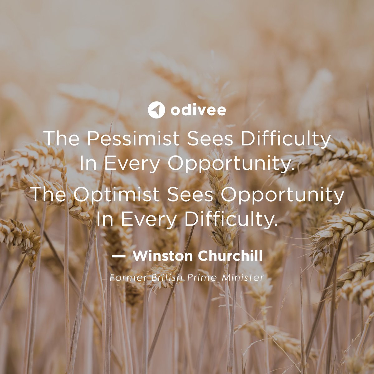 As long as you see an opportunity, do not hesitate to take advantage of every opportunity that exists.

#odiveedigital #marketing #digitalmarketing #tips #socialmedia #media #mediaonline #business #china #promotion