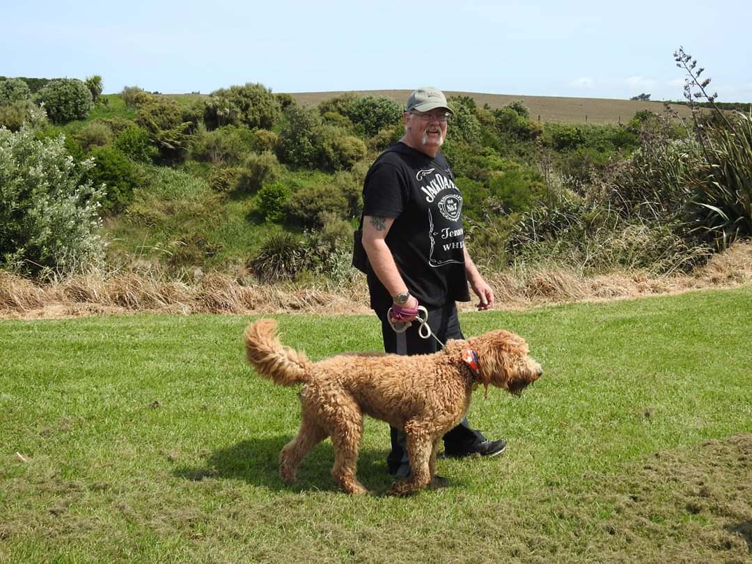 foreverfalcon's tweet photo. #SPCA #PAWWALK fabulous day for  a stroll with some beautiful dogs https://t.co/F83nTzHZUi