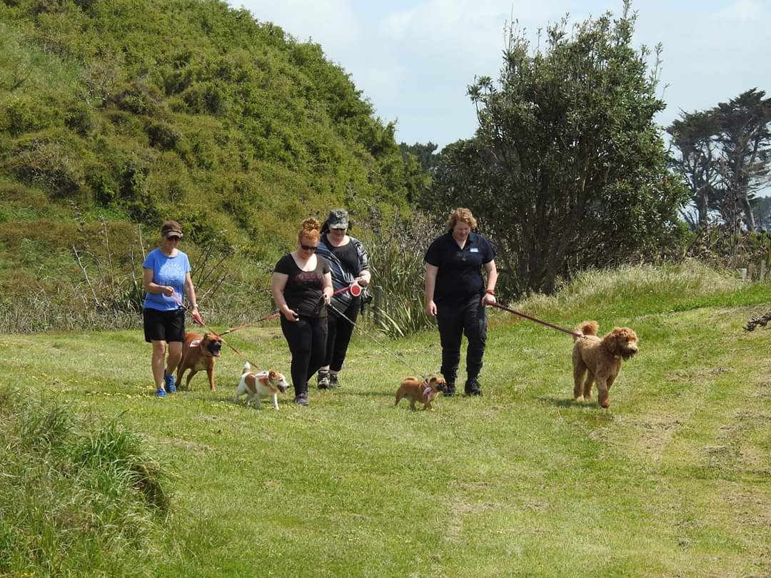 foreverfalcon's tweet photo. #SPCA #PAWWALK fabulous day for  a stroll with some beautiful dogs https://t.co/F83nTzHZUi