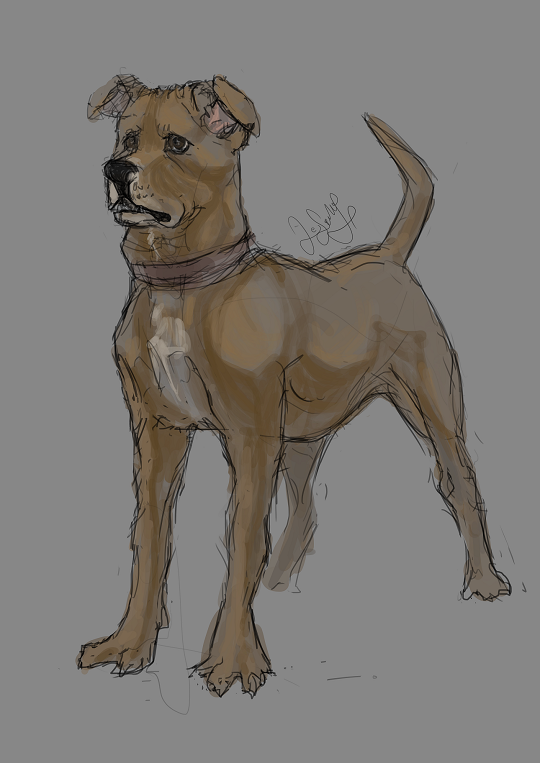 First Twitter submission - and it's a good boy!
#digitalart #art #sketch #dog