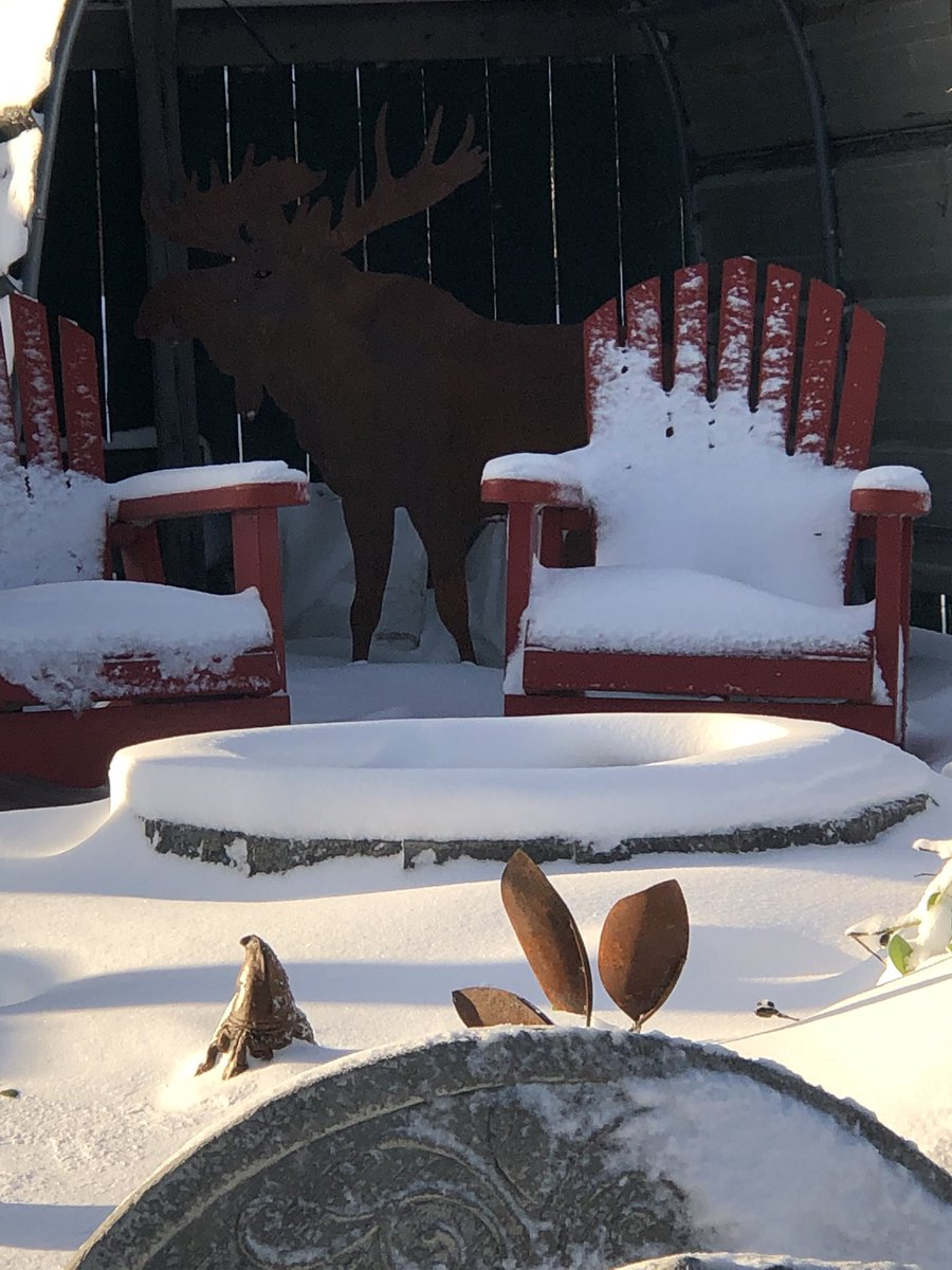 JettysLandscape's tweet photo. Hello #winter #metalcutouts #rustymoose #metalmoose #yarddecor https://t.co/Ta4ZVCUSbf