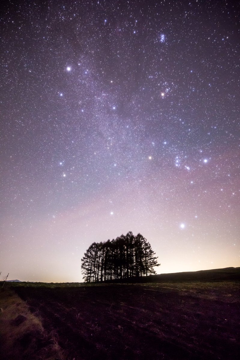 H Ieda Photo Acct 昨晩は天候が良かったので星空撮影へ行ってきました この季節は0 2時にシリウスなどの明るい恒星が頭上に来るためびっくりするほど綺麗な星が見ることができます みなさんも是非星空を眺めてみてください 写真は昨晩群馬県嬬恋村に