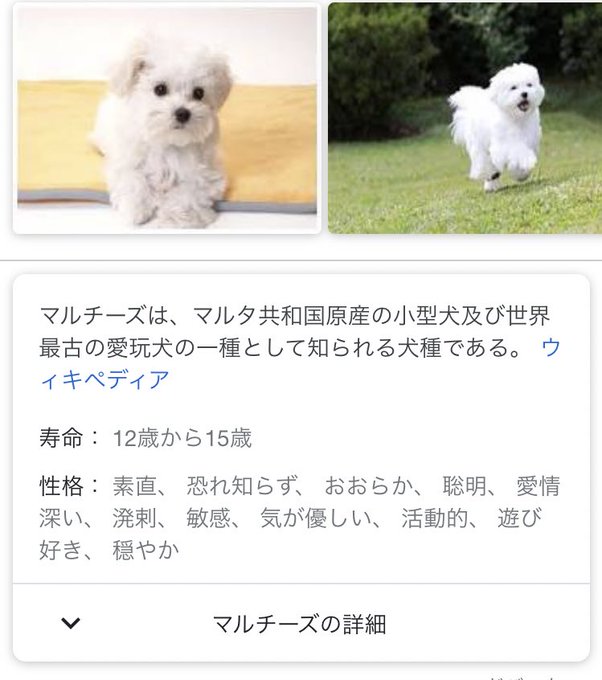 さん の人気ツイート 3 Whotwi グラフィカルtwitter分析 さん の人気ツイート 3 Whotwi グラフィカルtwitter分析