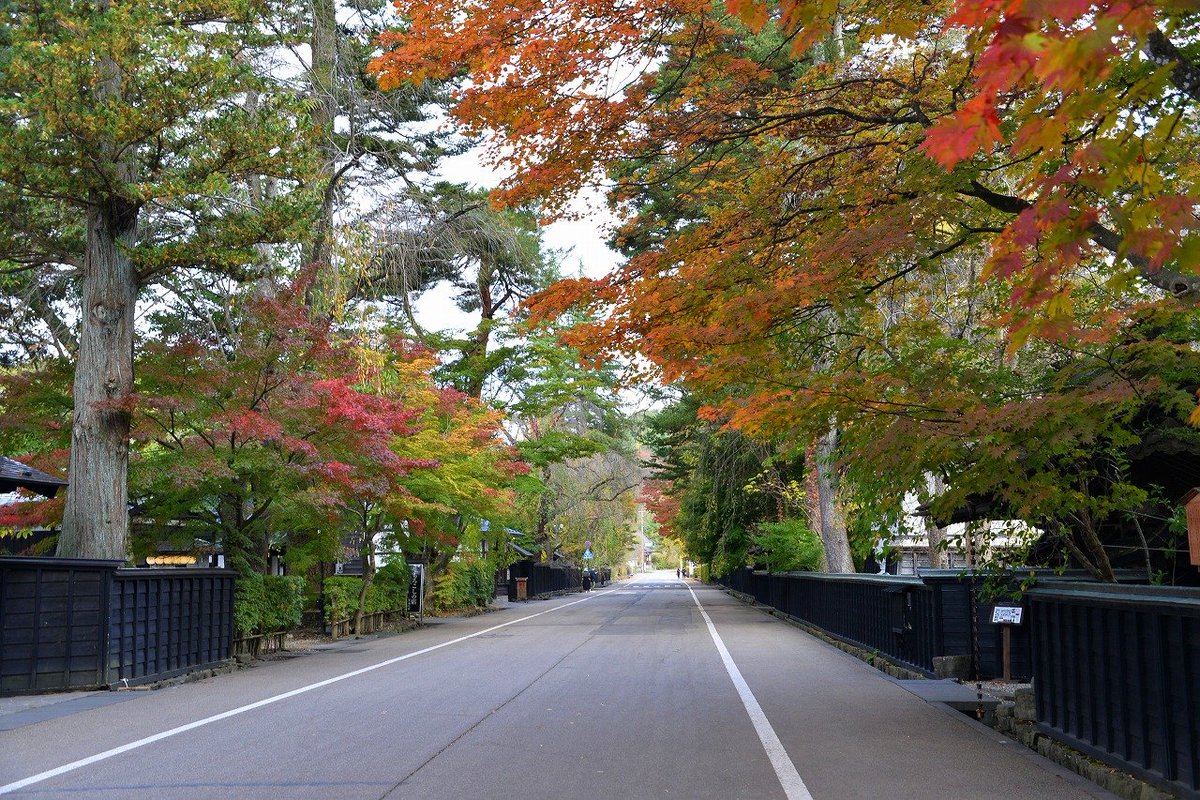 角館武家屋敷通り