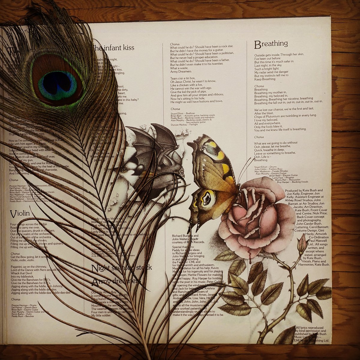 Perfect autumnal listening for a wet weekend. Beautiful gatefold album art. Love Kate Bush - Never Forevever. #katebush #oldvinyl #albumcover