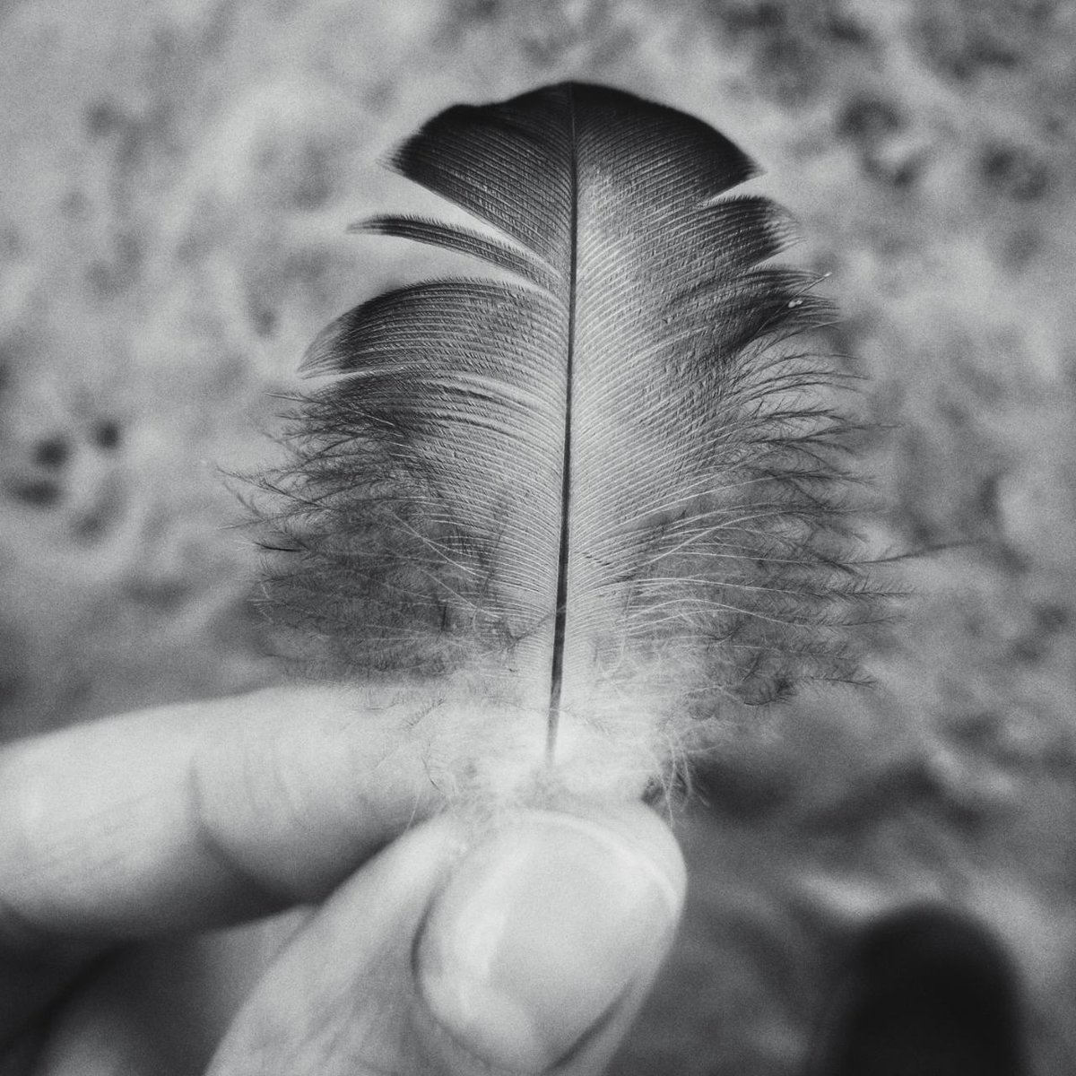 Всё то, что было с нами- 
далеко
И в памяти хранить 
не так легко
Но лишь пера коснись- 
и крылья за спиной
Тебя уносят памяти 
волной. (Я)