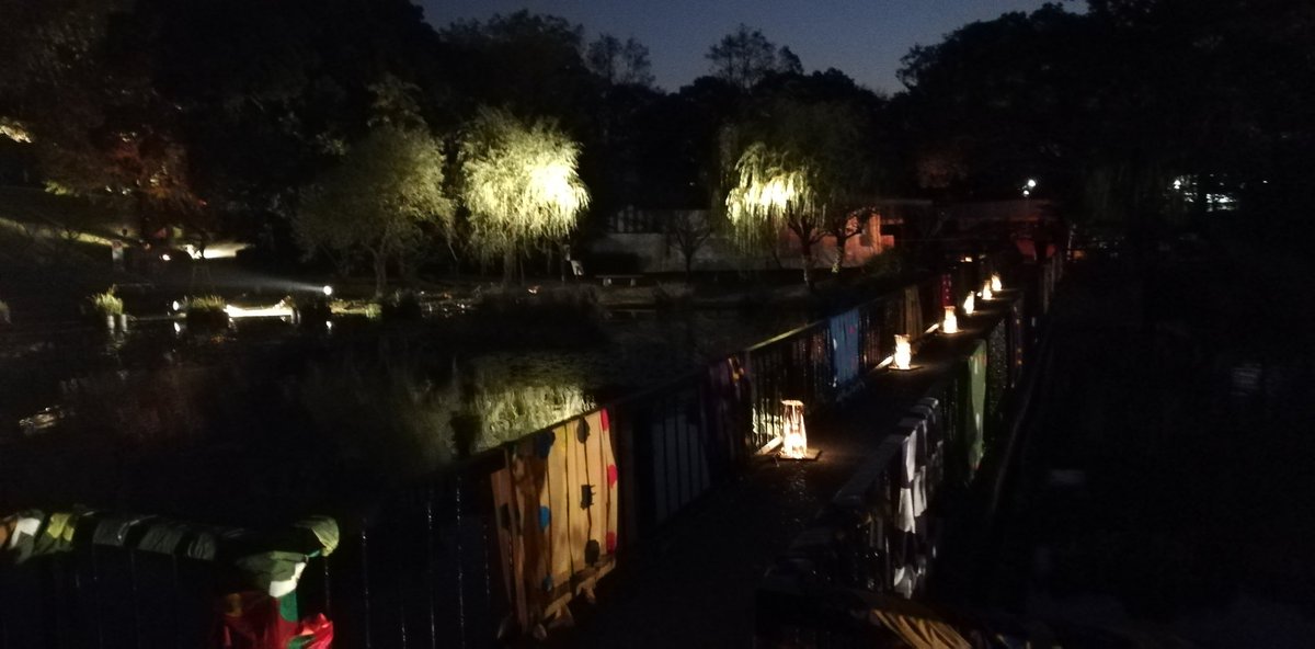 geijouten19's tweet image. tech-tech素晴らしい！観て、体感できるすごい作品でした！とってもキレイでしたー

他にも園内がライトアップされていて、きれいな写真がたくさん撮れると思います。とは言っても暗いので足元には注意です
ワラスボもいました！
#techtech2019