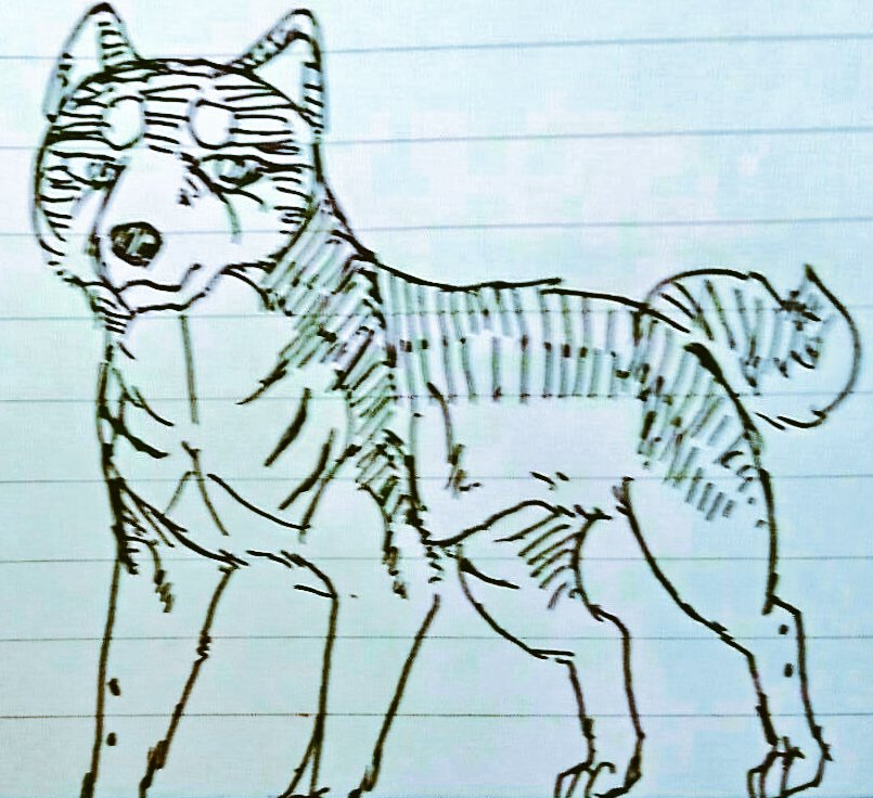 玄泉 げんせん En Twitter 銀 牙 オリキャラ リベンジャー 旧名 優太 犬種 秋田犬 虎毛 性別 雄 マーダーs スナイパー の弟子 奥羽軍と楽園に恨みを抱き壊滅を願う犬 元奥羽の戦士であるが諸事情で追われ 死にかけながら放浪した先でマーダーsに拾われる