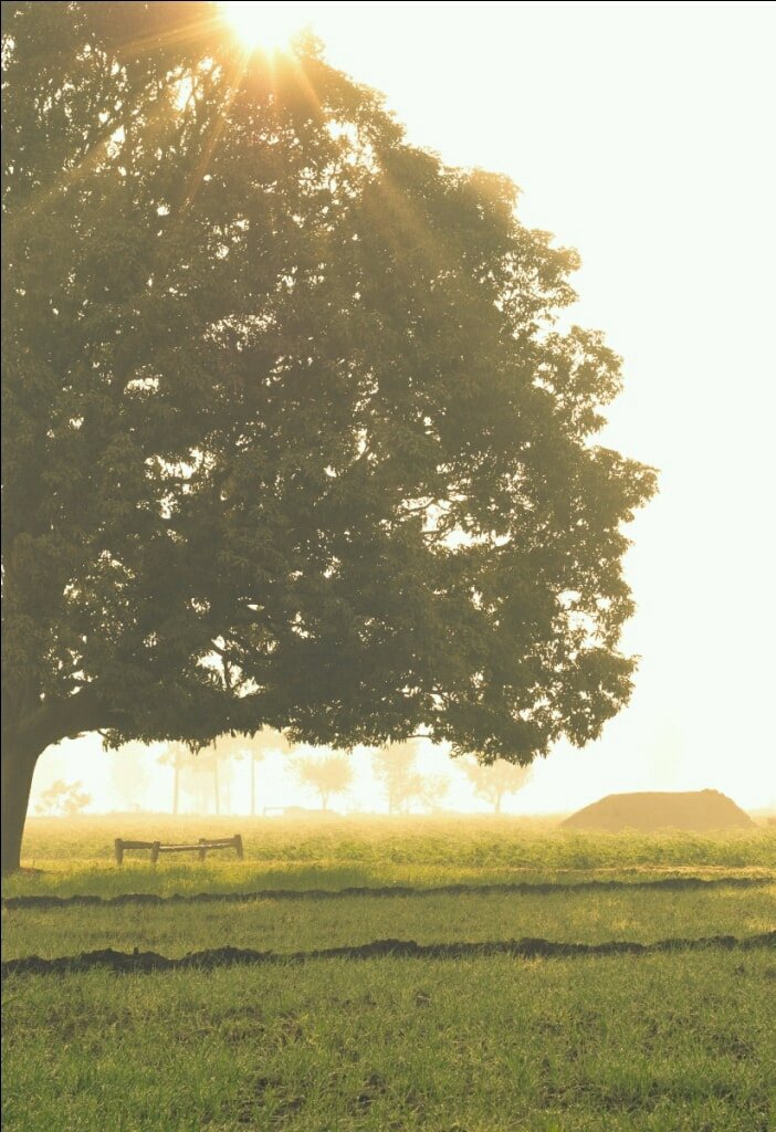 PureNothing1's tweet image. new youtube CHANNEL COMING SOON