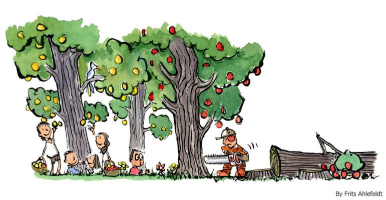 drmartintoms's tweet image. Developing talent in youth sport is like planting an orchard of apple trees &amp;amp; nurturing them to grow &amp;amp; flourish. 
However - within participation “deselection” systems, it’s like cutting them down before their first crop.
#Retention
#NonLinearDevelopment
#AllAboutTheIndividual