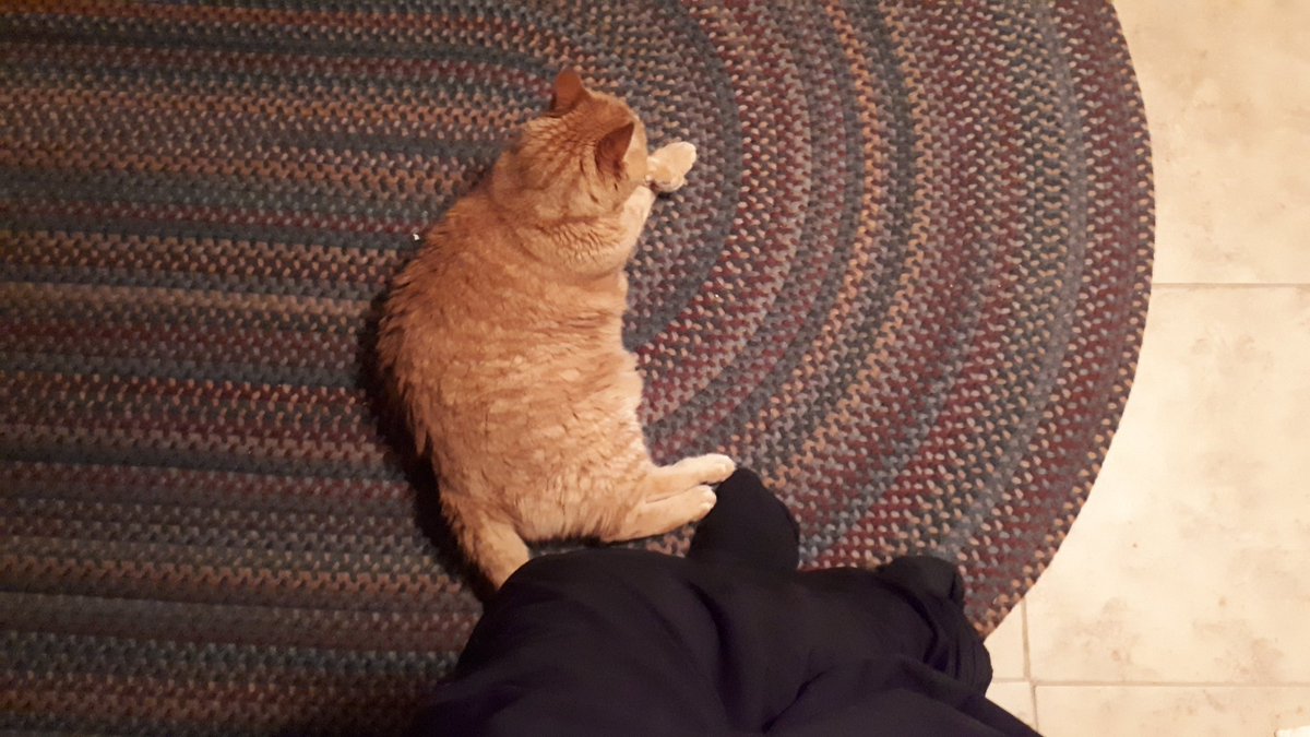 sindersalmon's tweet photo. My boy syncs up beside me anytime https://t.co/bk1A5qvnPg
