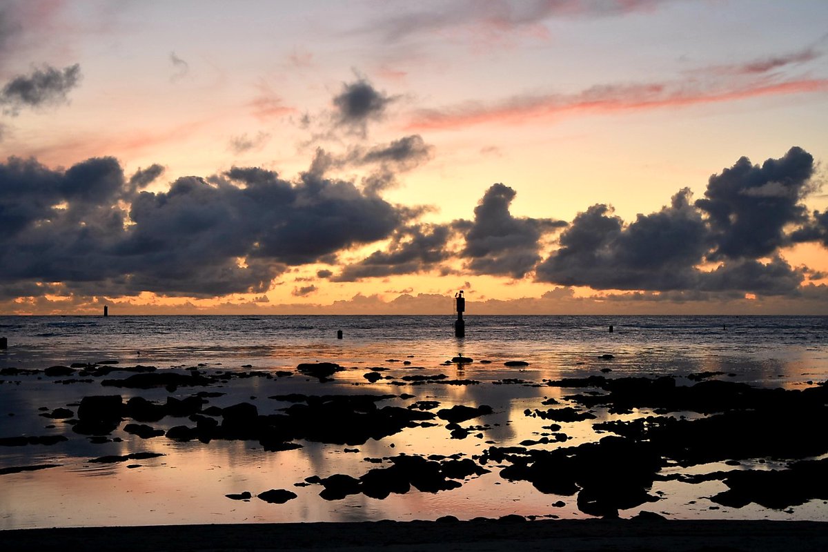 Pays Bigouden tweet media