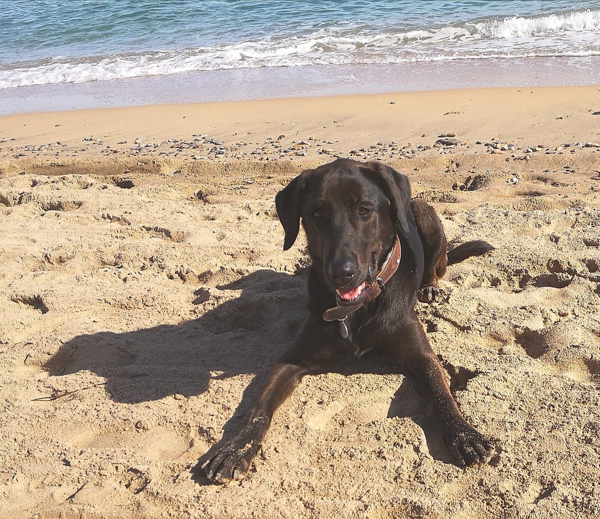 🐾Nein, nein,heute kein Magic Museum, #Peniscola #Castle, Bufador, oder so. Heute wird gespielt. Basta! 🐾