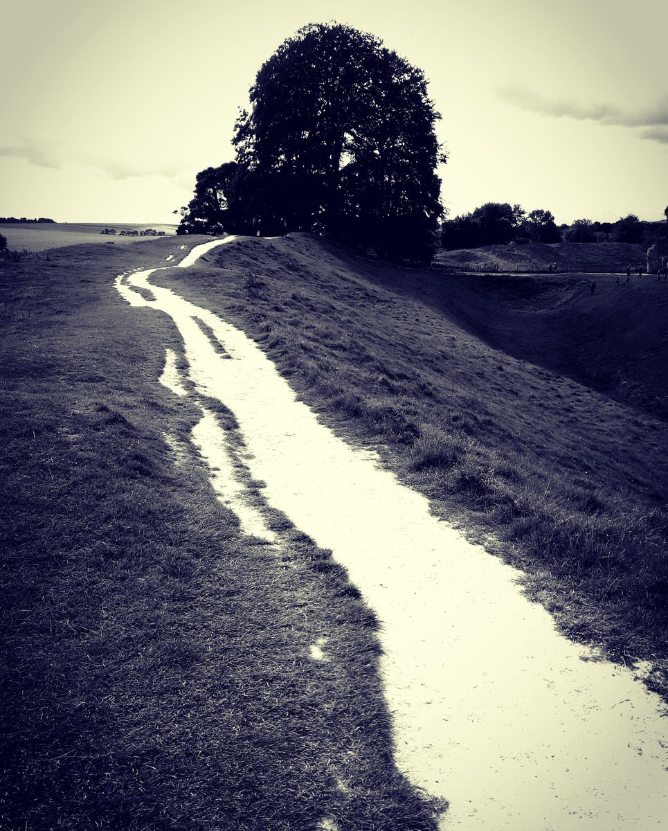 Walking the chalk at Avebury Circle.  #avebury #nationaltrust #stonecircles #childrenofthestones