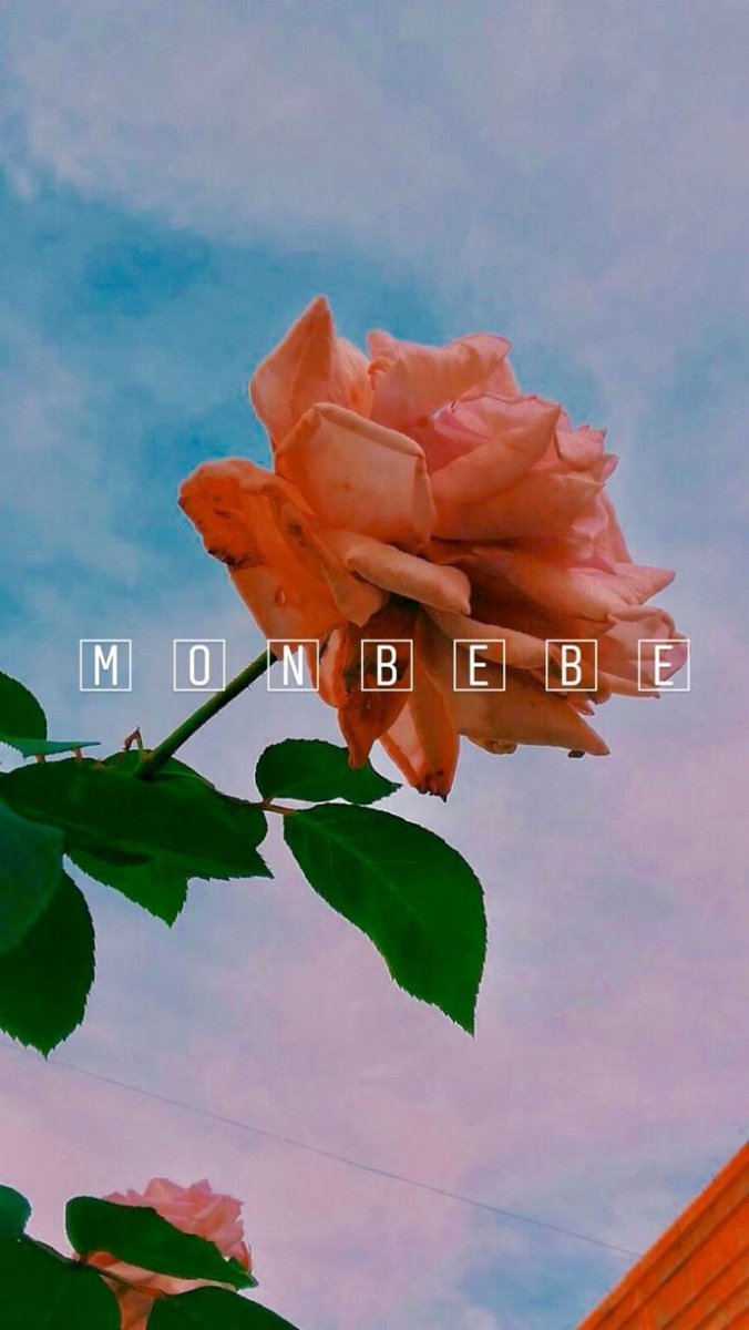 donut_monbebe's tweet photo. #몬베베_원호_응원해 
#몬베베는_몬엑을_믿엉
Monbebe  мы просто удивительные fandom Я никогда не могла бы поверить в то что наш fandom который был всегда таким тихим, таким послушным смог сделать... ребята это просто революция я по-другому это описать никак не могу . https://t.co/OVm0jyPqGg