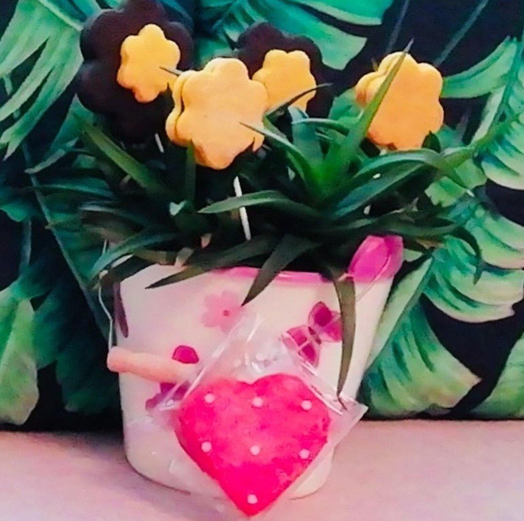 Say it with biscuits ❤
#vegan #veganbiscuits #foodporn