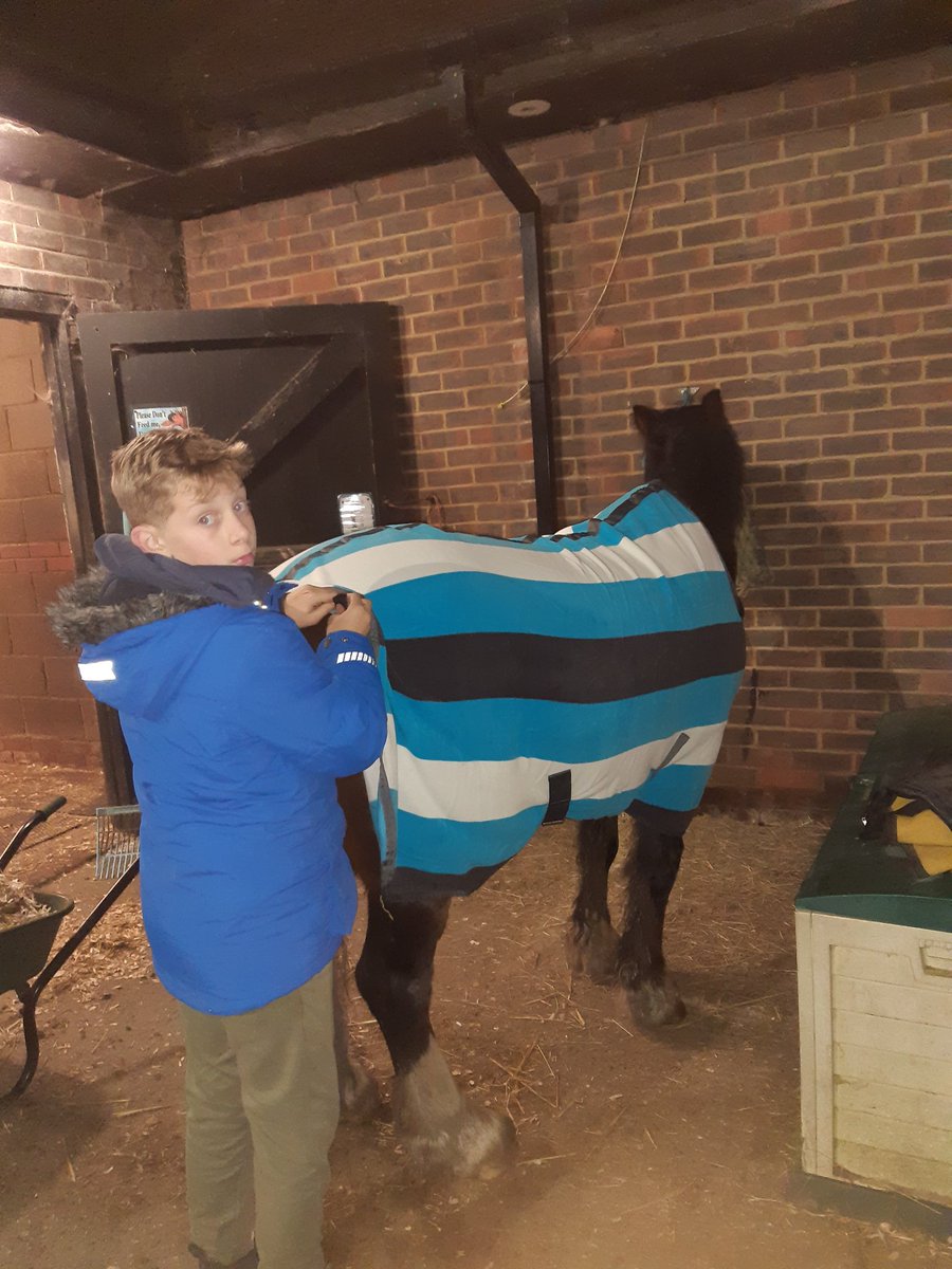 KjbPony's tweet image. The big boy has a snuggle new stable rug @JohnWhitakerInt @JohnWhitakerLtd It fits him like a glove so he'll be warm and cosy. The boy enjoyed rugging him and is taking his chores more seriously #winning #horsechathour #equestrianlife #irishcob #bestoffriends #ponyhour