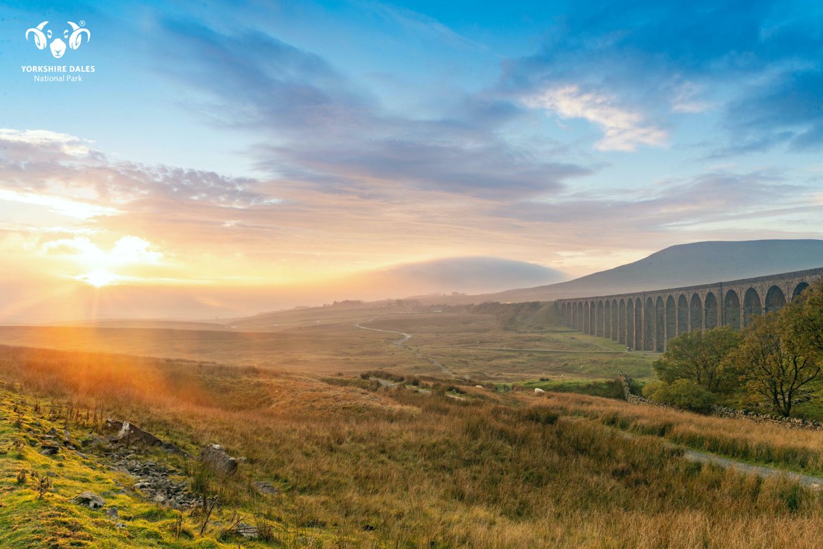 yorkshire_dales's tweet image. Welcome to the weekend! And if it's glorious Autumn colours you're looking for, the Yorkshire Dales National Park is the place to come! 🍁

#Autumn #Yorkshire #YorkshireDalesNationalPark