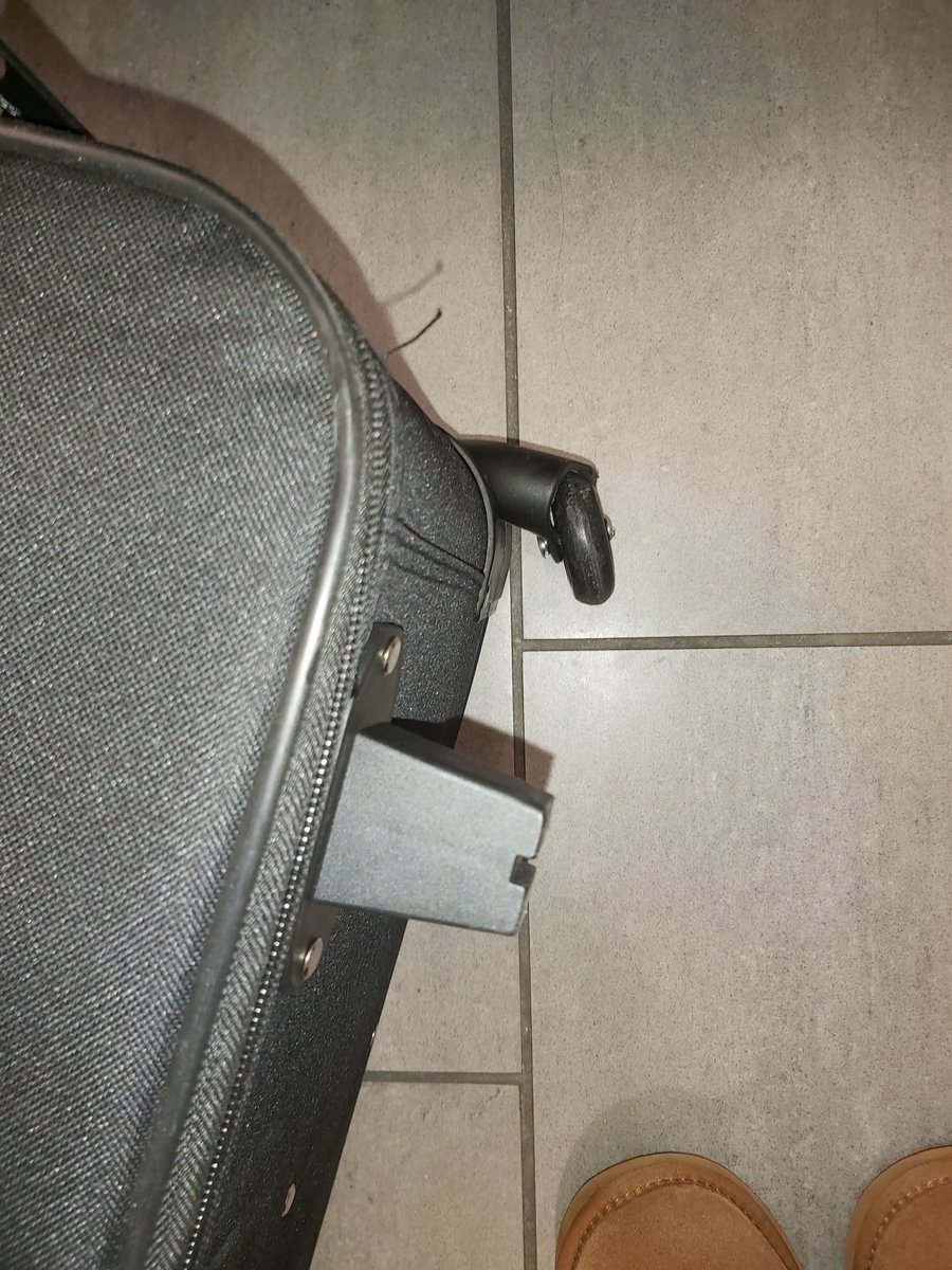 aer lingus damaged baggage