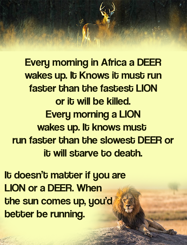 It doesn’t matter if you are 
LION or a DEER. When
the sun comes up, you’d
better be running.