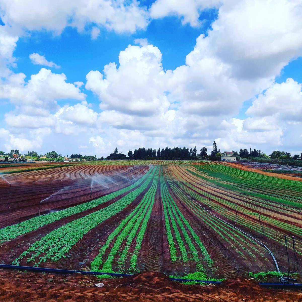 ckobi's tweet image. On my way 🚶🚶🚶