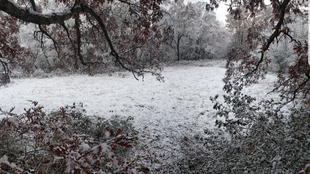 Having a beautiful sit waiting for a big buck to show up. #SnowInNovember #Waiting #BigBucks