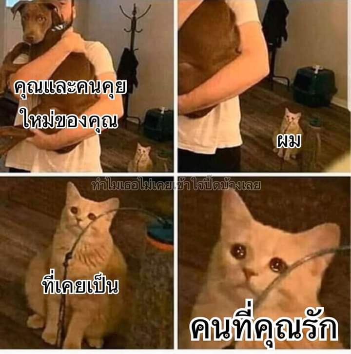 ย้ายแอค tweet media