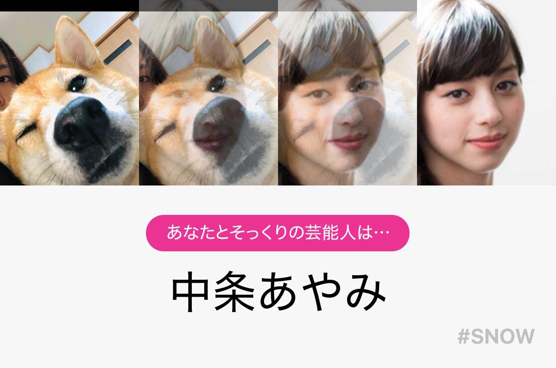 柴犬うたげ Ftonflygnzwl0jf Twitter 柴犬うたげ Ftonflygnzwl0jf Twitter