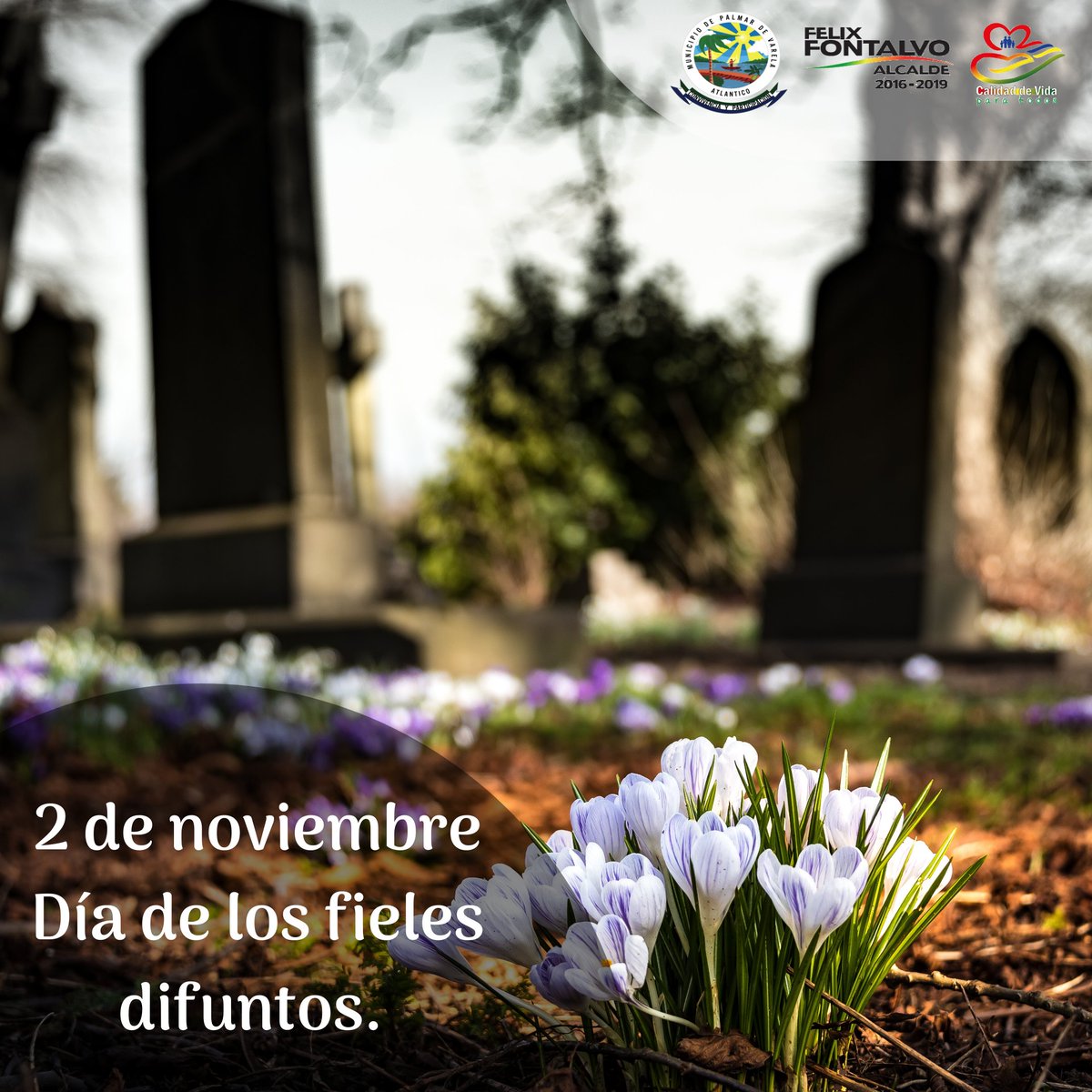 Hoy es el día de los fieles difuntos, una fecha especial para elevar una plegaria a Dios Todopoderoso por las almas del purgatorio, por todos nuestros conocidos y familiares que ya no están en este mundo. 
Oremos por los difuntos.🙏🏻🙏🏿