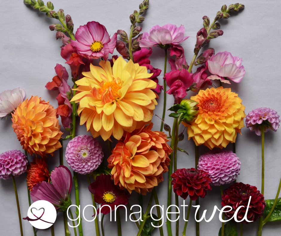 Hints of burnt orange in your bouquet is all the rage for 2020 weddings. Get more tips and speak with all the wedding professionals at the GonnaGetWed Bridal Brunch and Showcase. Reserve your tickets for the January 19, 2020 show: ow.ly/Y50g50wXAlY