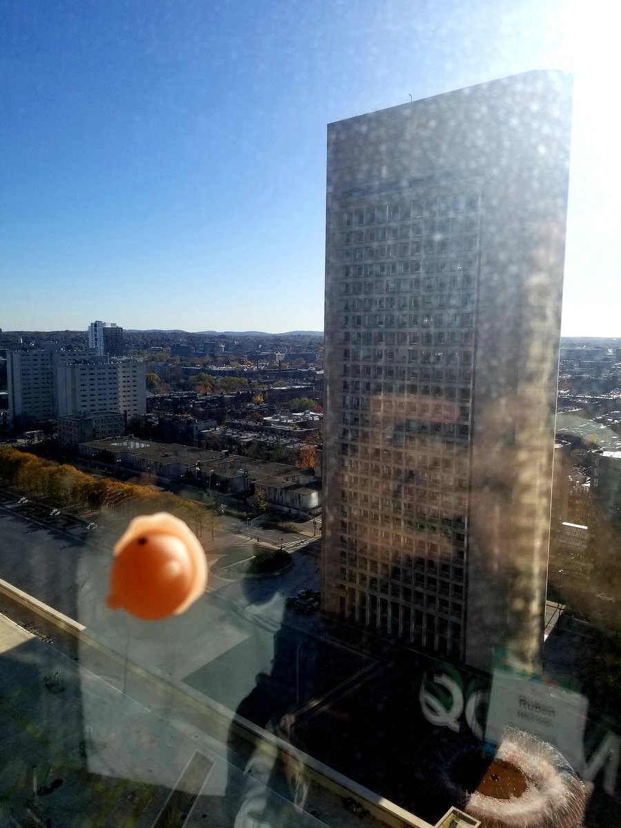 Queen's iGEM (QGEM) tweet media