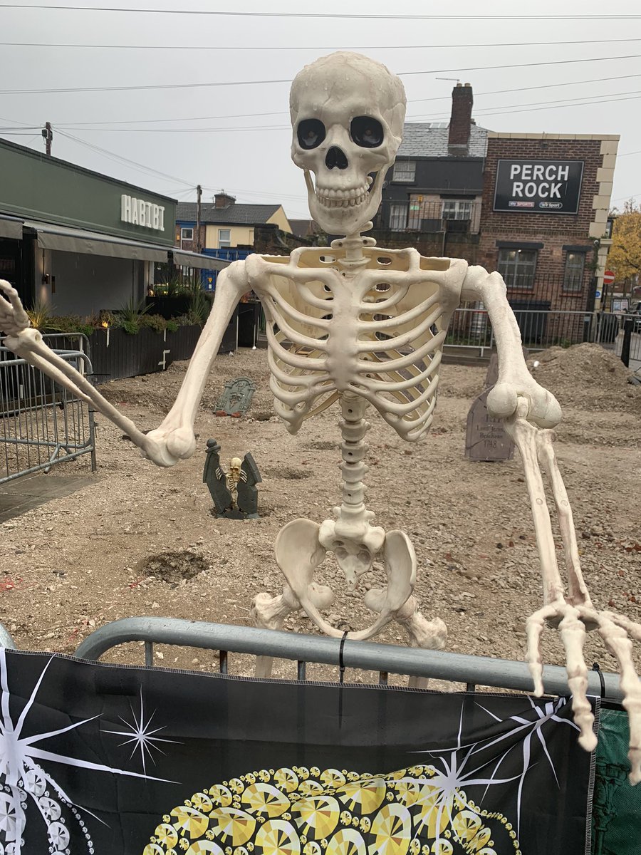 danieldaviesRPL's tweet image. From 6pm tonight get down to #VictoriaQuarter #NewBrighton for the #RockpointLeisure #DayoftheDead #StreetParty