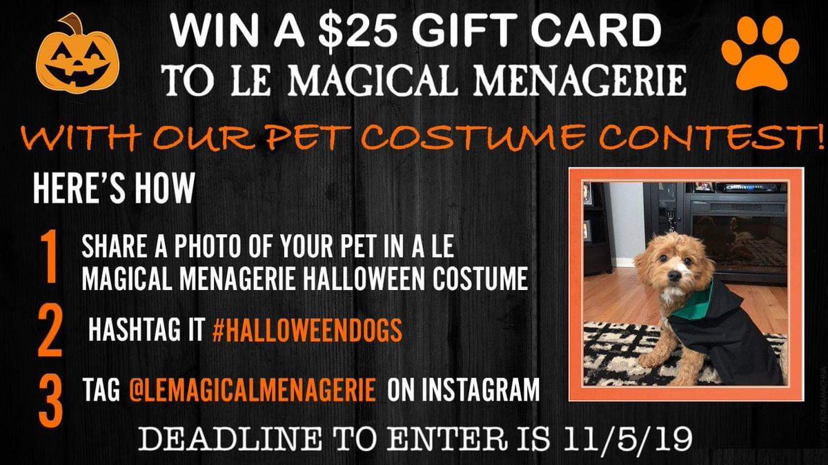 Contest Rules:
1. Share a photo of your pet in a Halloween costume you got at Le Magical Menagerie.
2. Hashtag it #HalloweenDogs
3. Tag @lemagicalmenagerie on Facebook, Twitter or Instagram
Deadline is November 5, 2019!  

#contest #halloween #harrypotterdog #dogcostume #etsy